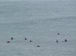 SX06997 Surfers waiting for waves at Bude.jpg
